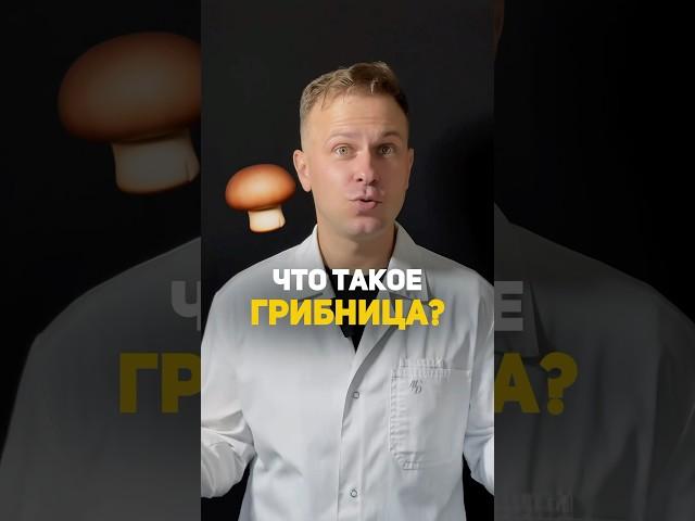 Что такое грибница?! ‍🟫 #биология #грибы #интересное #наука #образование #научныеистории