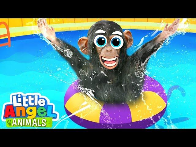 No No Swimming Baby Monkey | Fun Animal Sing Along Songs by Little Angel Animals