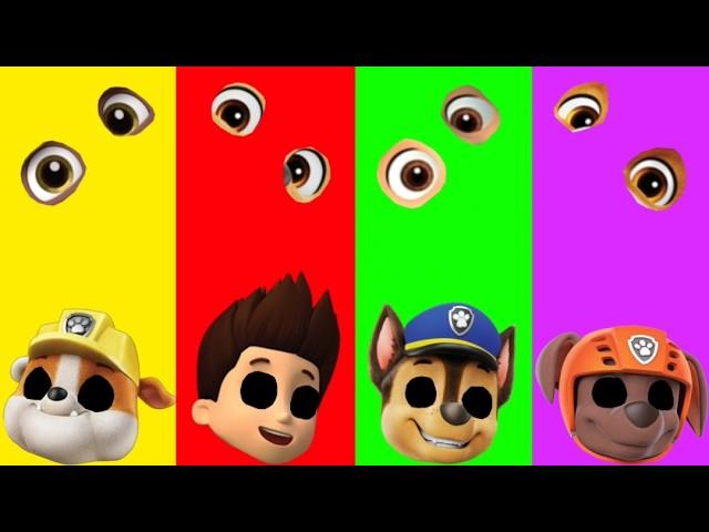 Wrong eyes challenge DAME TU COSITA Paw Patrol Funny Puzzle Wrong Heads