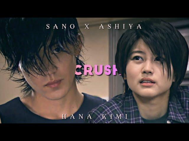 ˚‧ crush ∥ hana kimi (sano x ashiya)