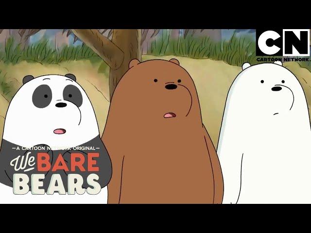 Los osos a veces toman riesgos innecesarios | Escandalosos | Cartoon Network