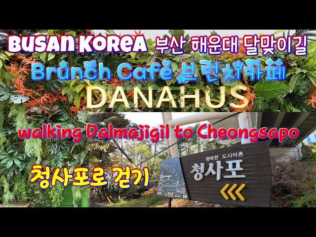 [Busan Korea] Dalmaji Dessert Cafe DANAHUS & Walk to Cheongsapo / 달맞이 디져트 카페 다나휴스 그리고 달맞이 걷기 