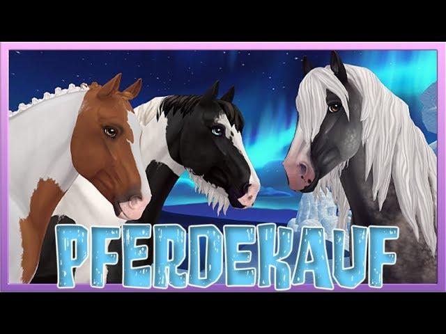 Wir KAUFEN den neuen TINKER  Star Stable Pferdekauf [SSO]