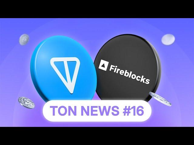 $5M Memelandia Grants & Streak Rewards on Telegram! | TON News #16