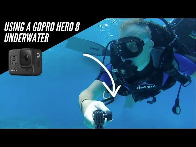 Using a GoPro Hero 8 Underwater