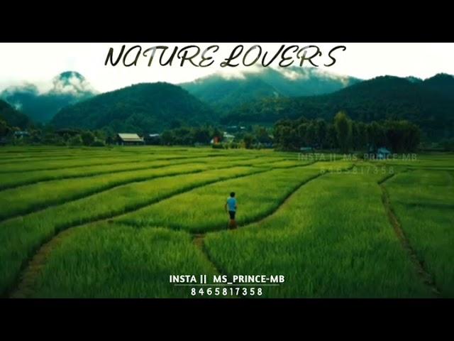 #NATURE LOVER'S WHAT'S APP STATUS BGM MS PRINCE MB STATUS BGM