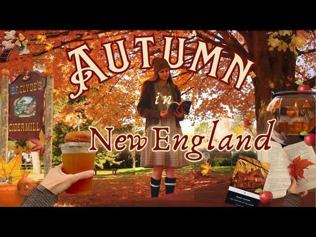 The Perfect Fall Weekend ️| apple picking, cider mill, reading updates, leaf peeping: VLOG