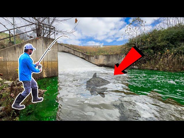 Fishing A DRIED Up Spillway After RECORD RAINFALL!!! (Surprise Catch!)