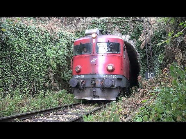 Unmanned train track alonely bear and monster try to stop train and escapes funny vfx video editing