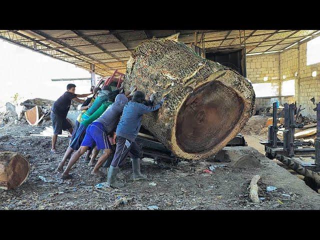 Banyak rintangan...gergaji kayu trembesi untuk meja milik tuan Han dari jepang I Sawmill