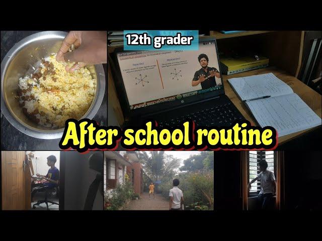 After school routine as 12th grader  | evening  to night  routine | study vlog | Anandu.k