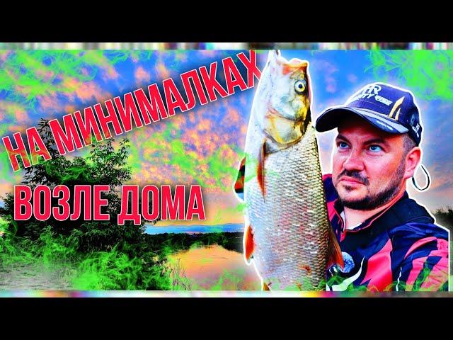 Что можно поймать возле дома? На минималках за хищником