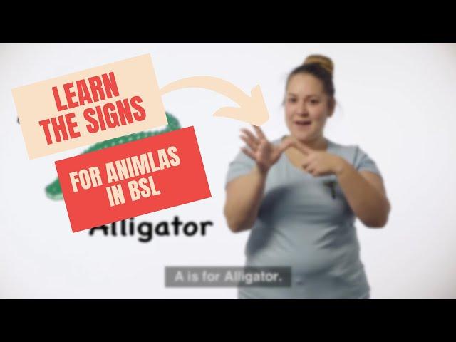 Sign for All 'Learn the signs for Animals in BSL'