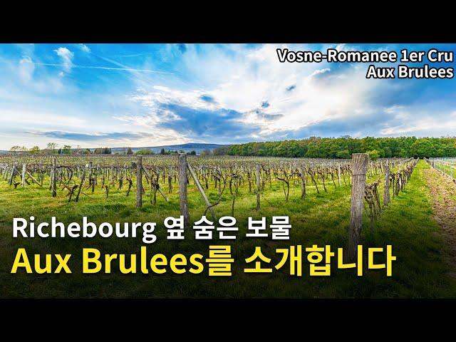 [Eng.sub] Vosne Romanee 1er Cru Aux Brulees