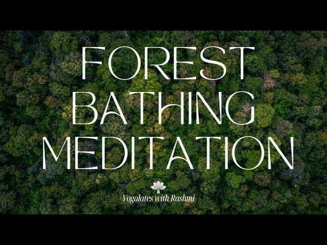 10 Minute Daily Guided Meditation | Forest Bathing Meditation | Yogalates with Rashmi