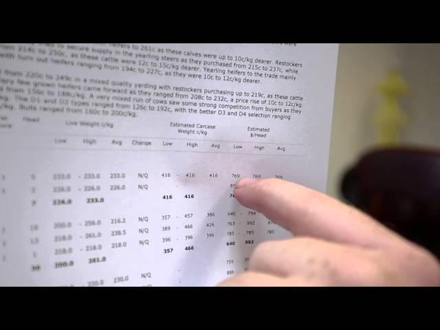 How To Read an MLA Cattle Market Report