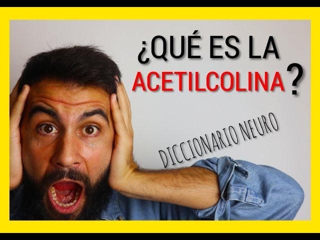 ¿Qué es la ACETILCOLINA?