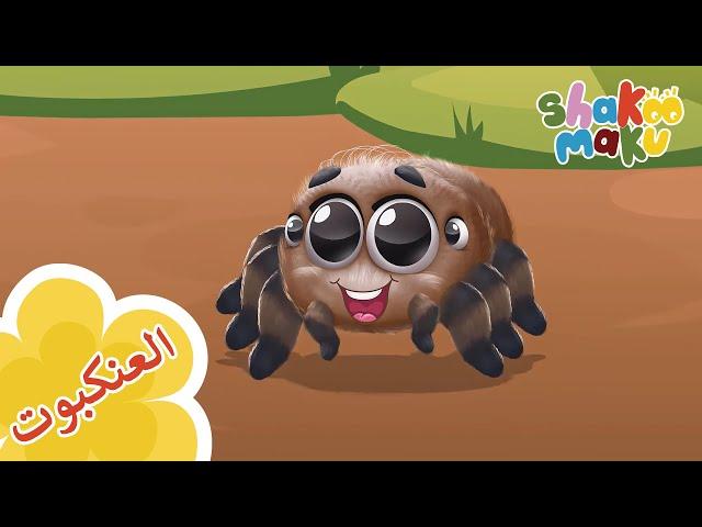 العنكبوت : اغنية و كارتون اطفال I The Spider Song- Shakoo Maku