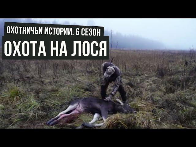 Охота в Тверской области НА ЛОСЯ I Охотничьи истории \ #5