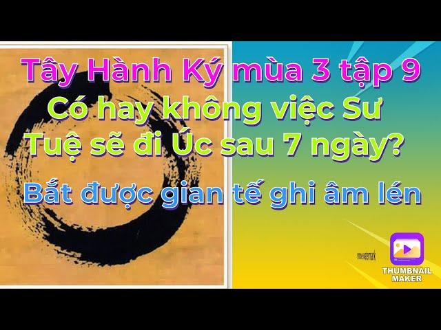 Tây Hành Ký mùa 3 tập 9# Có hay không việc Sư Tuệ sẽ đi Úc sau 7 ngày? Bắt được nội gián