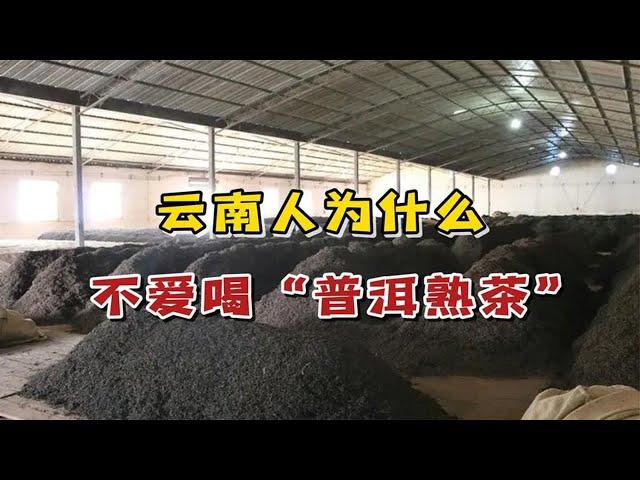 为什么云南人不喝“普洱熟茶”？是熟茶不好吗？内行人讲出实情