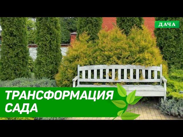 Ландшафтный дизайн | Трансформация Сада | Как трансформировать сад