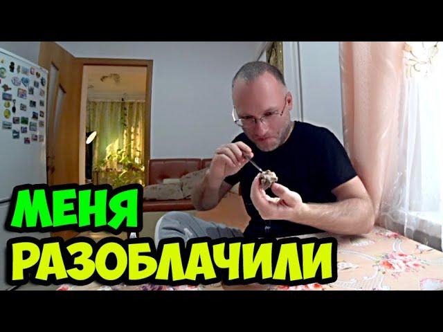 Мукбанг тушеной козлятины с картофельным пюре || Меня разоблачили по полной программе в ютубе