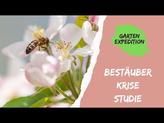 Bestäuber Krise - Studie - Was wir dagegen tun können -  Gartenexpedition #naturgarten #sience