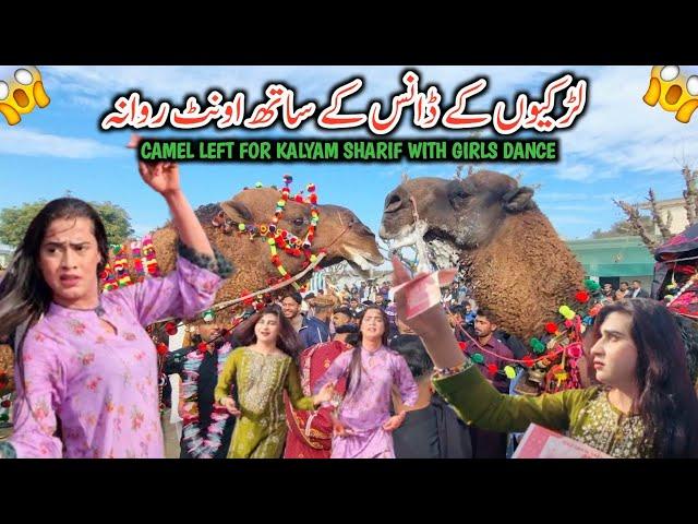 Camel Left For Kalyam Sharif With Girls Dance || Larkiyo Ke Dance Ke Sath Camel Ka Welcome