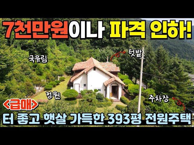 [312] 7000만원 파격 인하!393평인데 100평을 추가로 더 써요~ 뒤는 국유림! / 충청북도 제천시 백운면 전원주택 매매 #제천부동산 #전원주택