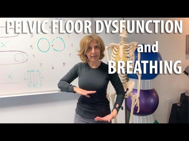 Pelvic Floor Dysfunction and Breathing explained by Core Pelvic Floor Therapy Doctor