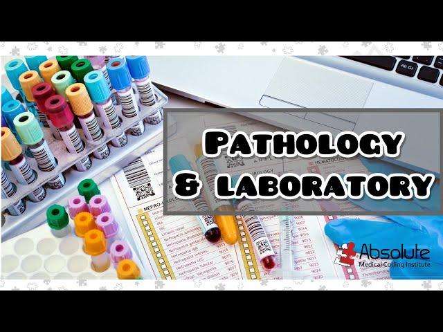 Pathology and Laboratory CPT Medical Coding for the CPC and CCS Exams