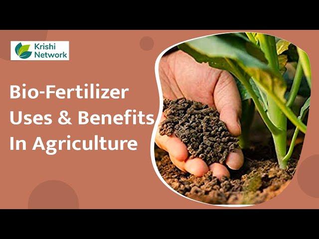 What are Bio-Fertilizer and Its Uses? | Organic Farming | Krishi Network