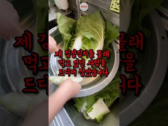 며느리에게 해준 김장김치를 몰래 먹고 있던 사람의 정체