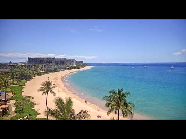 Sheraton Maui Resort & Spa Surf Cam | Hawaii Resort Webcam | Powered by Ozolio Webcam Services