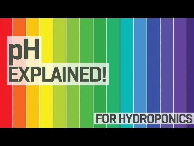 pH for Hydroponics 101