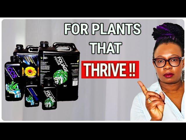 These Fertilizers Changed My Plant Game Forever!