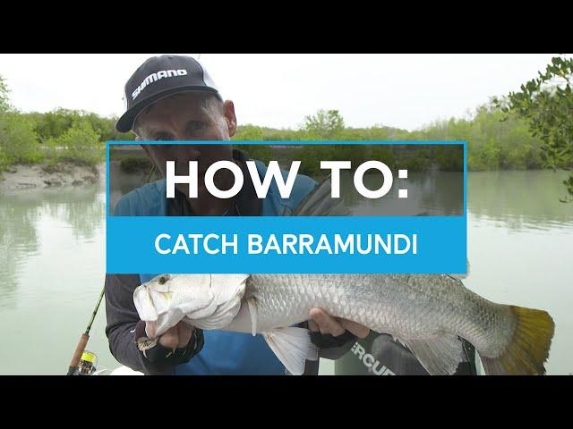 HOW TO: Catch Barramundi in creeks and drains