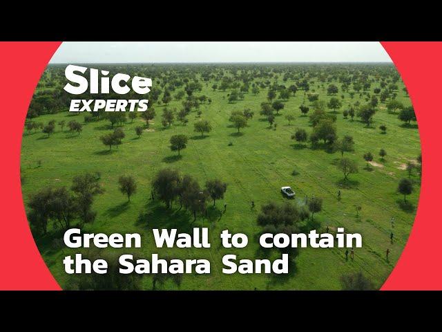 Ingenious, the Great Green Wall to contain the Sahara Sand | SLICE EXPERTS