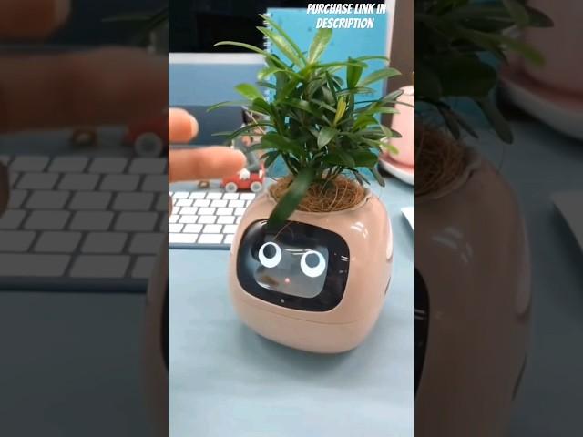 smart flower pot #flowerpot #emotion #demand #imported #leddisplay #robotic #sensor #companion