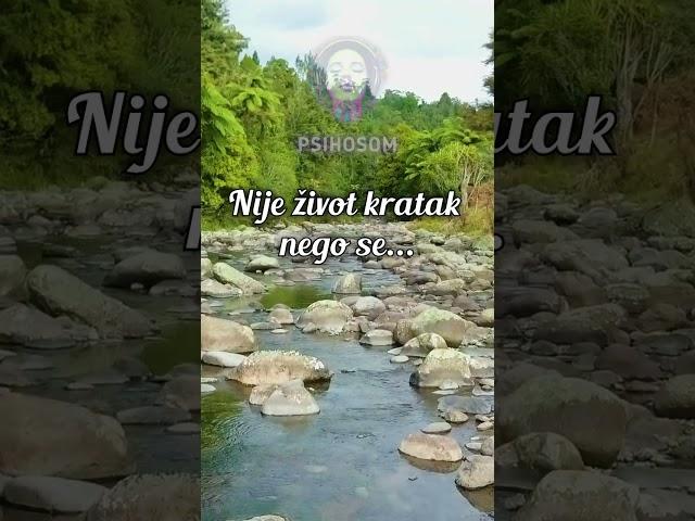 Nije život kratak nego se... #život #kratak #živeti #citati #mudrosti #izreke #psihosom #shorts