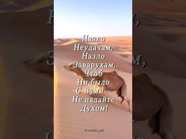 Не падайте духом