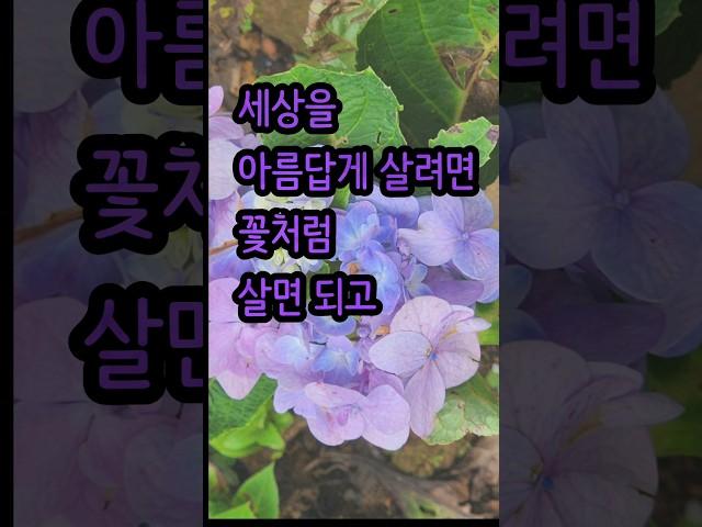 꽃과 바람 #좋은글#책읽는라디오s
