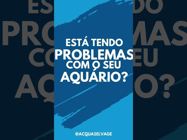 Está com problemas com seu aquário? Aqui está a solução! #aquarismo #curiosidades #autoconhecimento