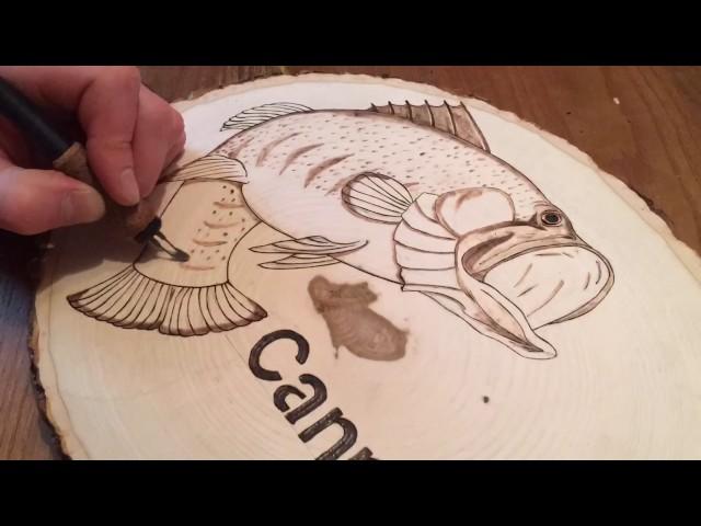 Pyrography. Burning a bass on basswood .