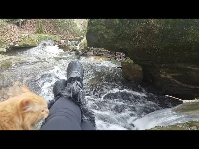 For my dear friend: Hiking the stream by the cabin with Gizmo today.