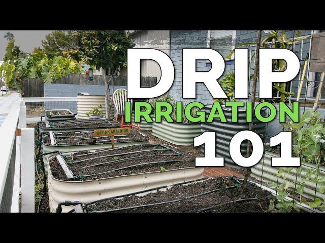 Installing a Drip Irrigation System for Raised Beds  (Before & After)