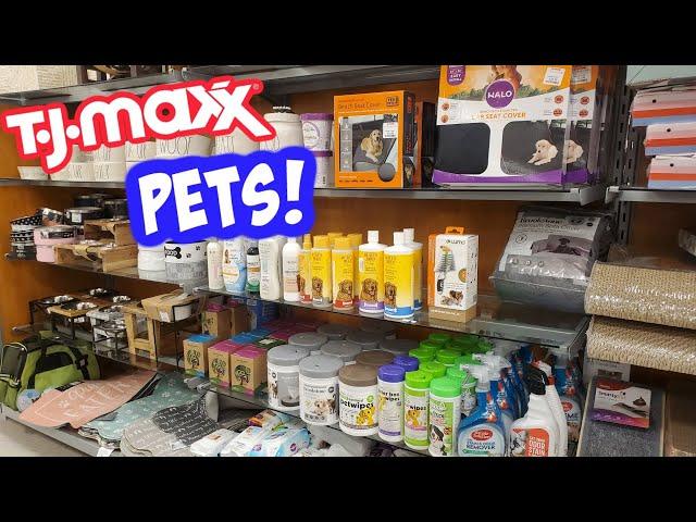 TJ MAXX SHOP WITH ME PET BEDS AND WATER BOWLS PET DEPARTMENT 2021