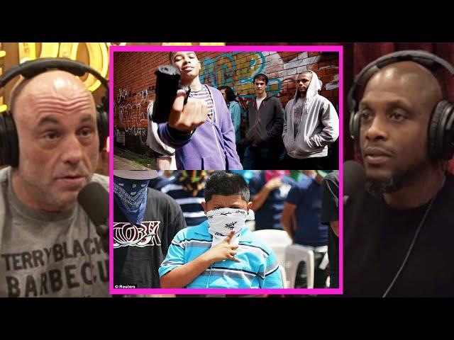 Why Do Young Teens Join GANGS? | Joe Rogan & Ali Siddiq #jre