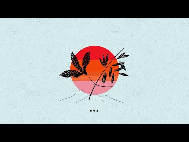Tycho - Back To Mine Compilation (DJ Mix Preview)